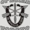 Army Special Forces Window Decal